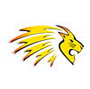 lions_logo